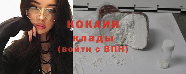 прущие грибы Аркадак