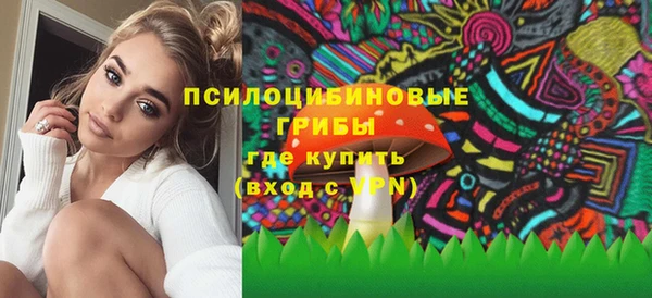 прущие грибы Аркадак