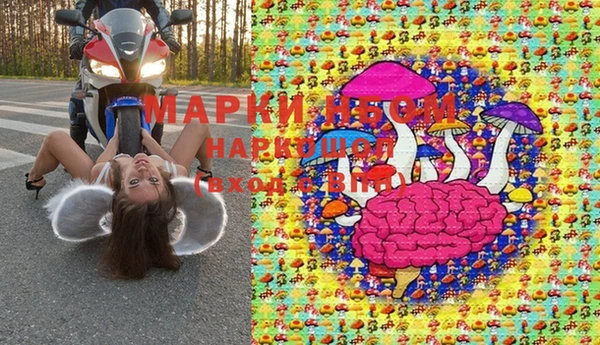 прущие грибы Аркадак