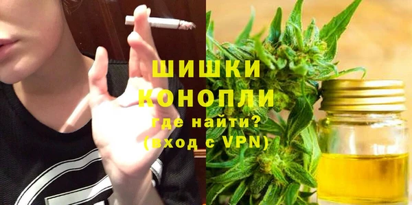 прущие грибы Аркадак