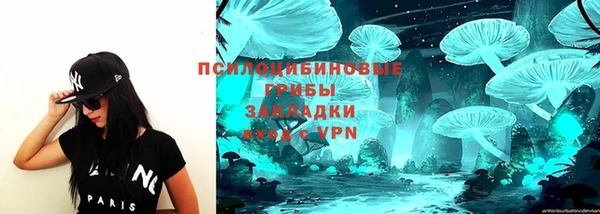 прущие грибы Аркадак